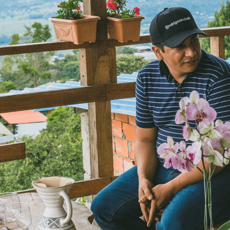 Colombia, Finca la Loma